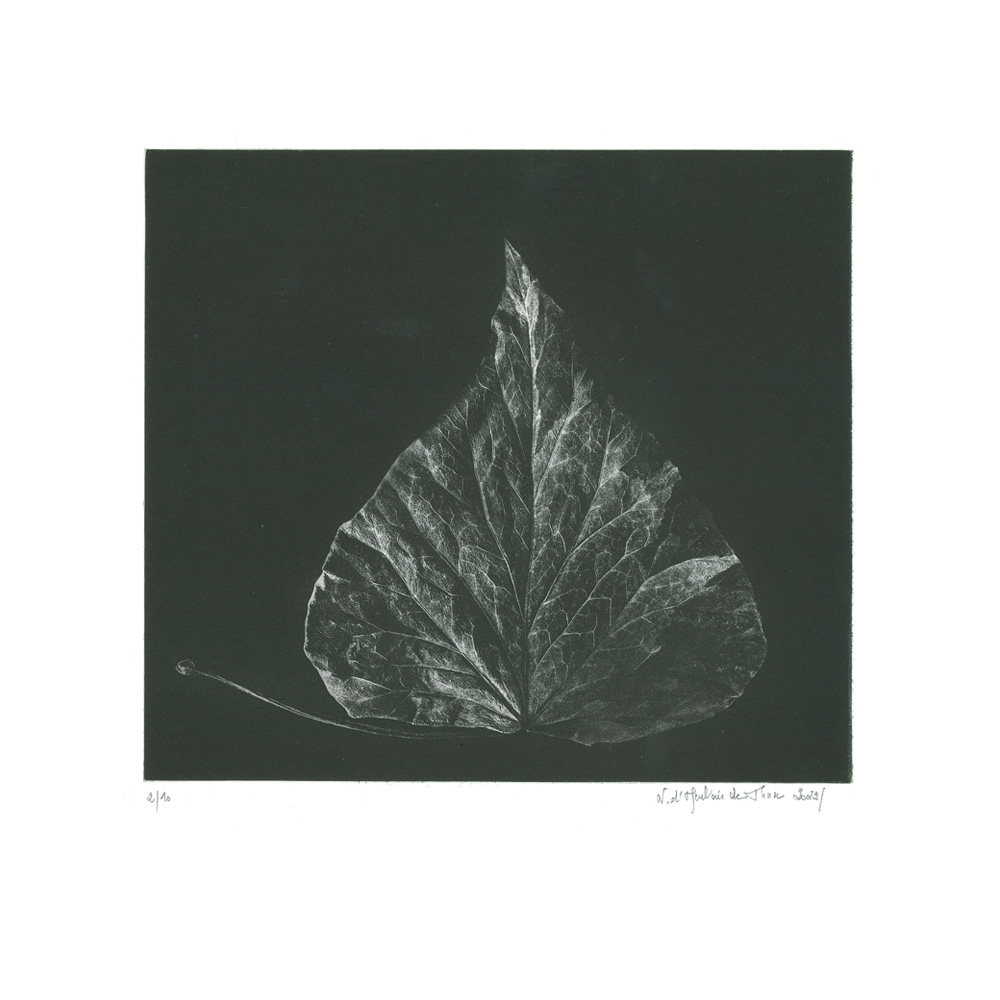 A fleur d'encre I, Technique mixte, 16,2x26 cm | 2022